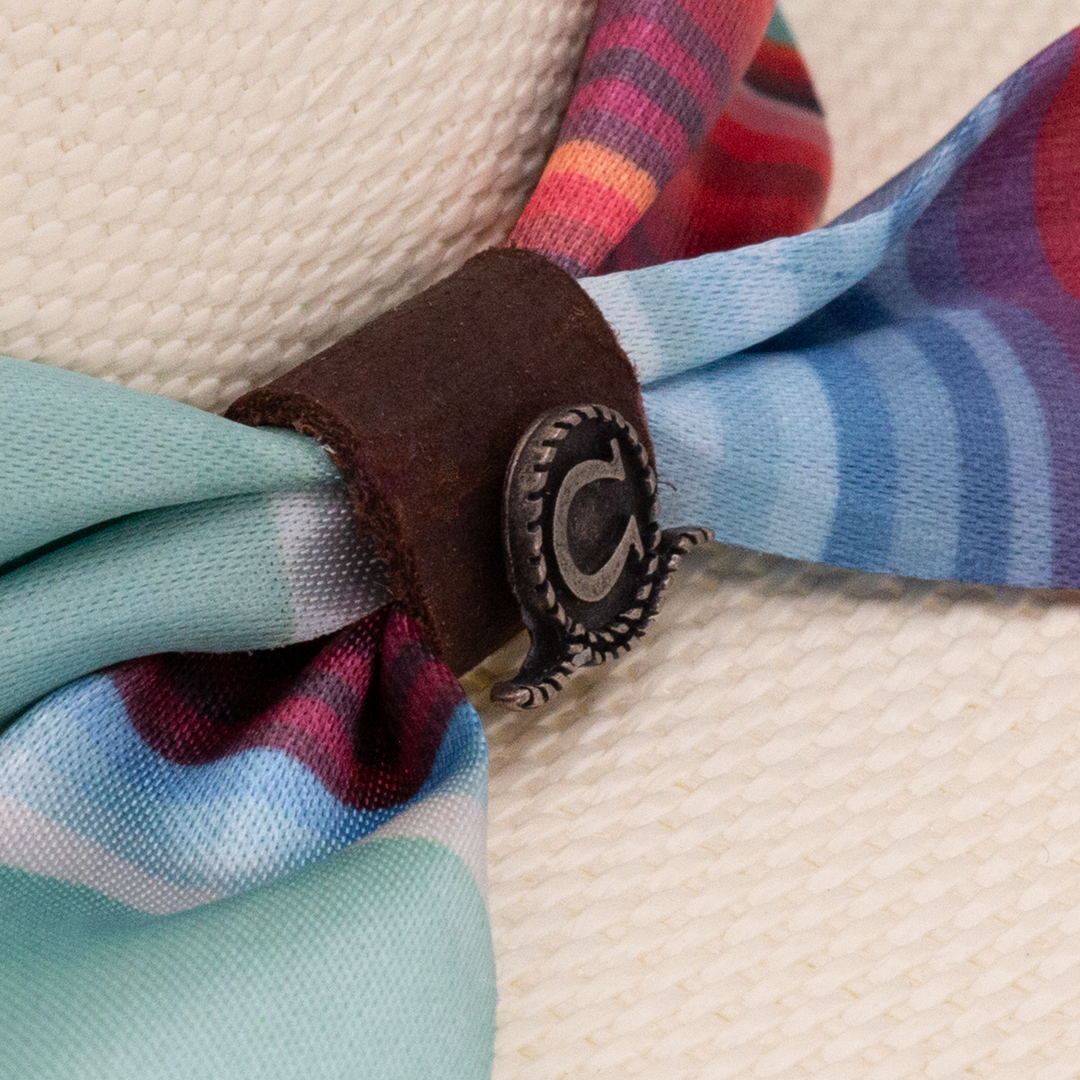 Summer Serape - Charlie 1 Horse