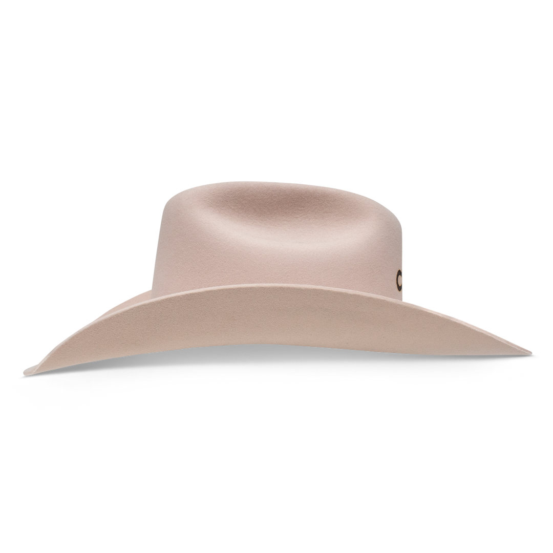 The Cowgirl Hat - Charlie 1 Horse