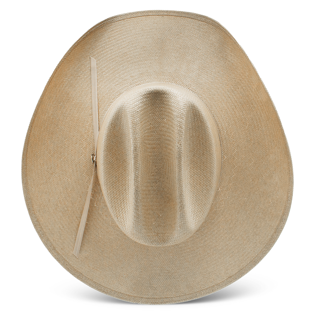 The Cowgirl Hat - Charlie 1 Horse