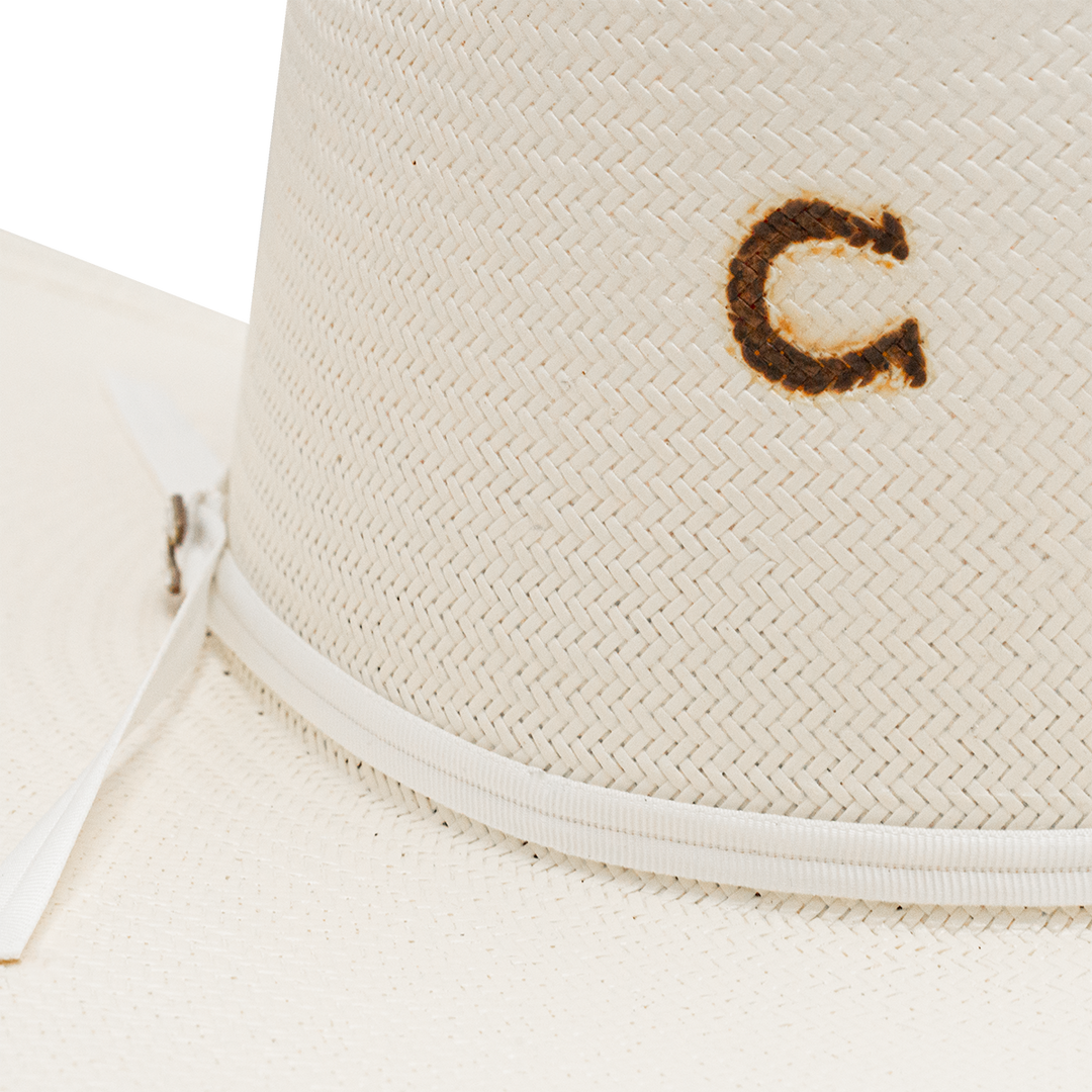 The Cowgirl Hat - Charlie 1 Horse