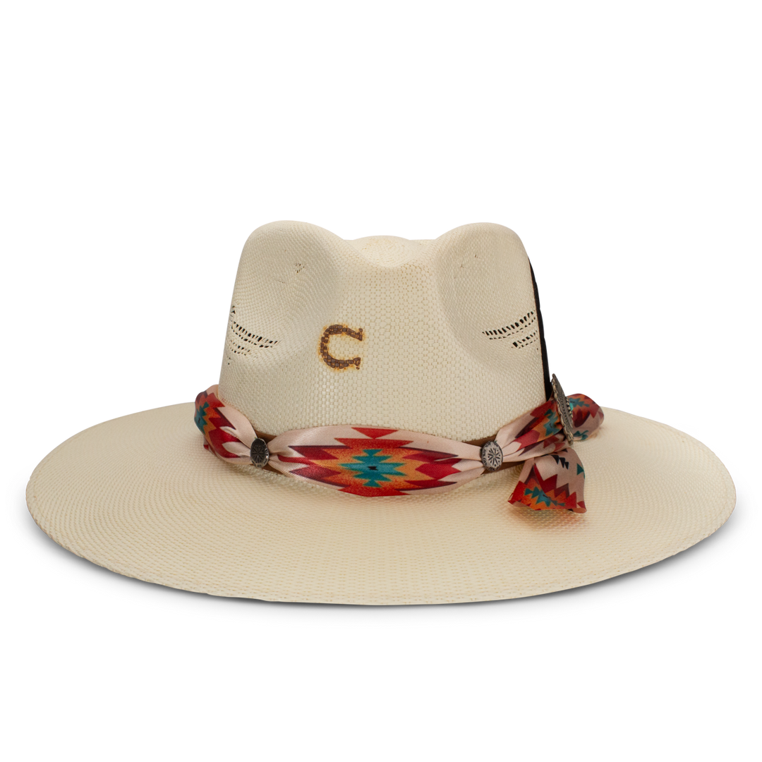 Navajo - Charlie 1 Horse
