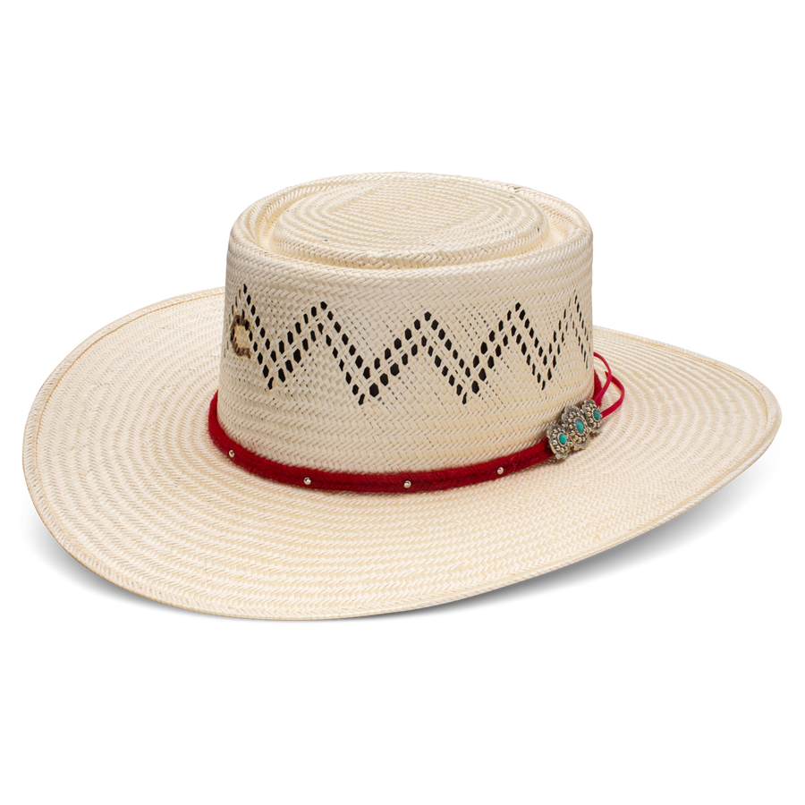 Painted Borders Fashion Hat - Charlie 1 Horse