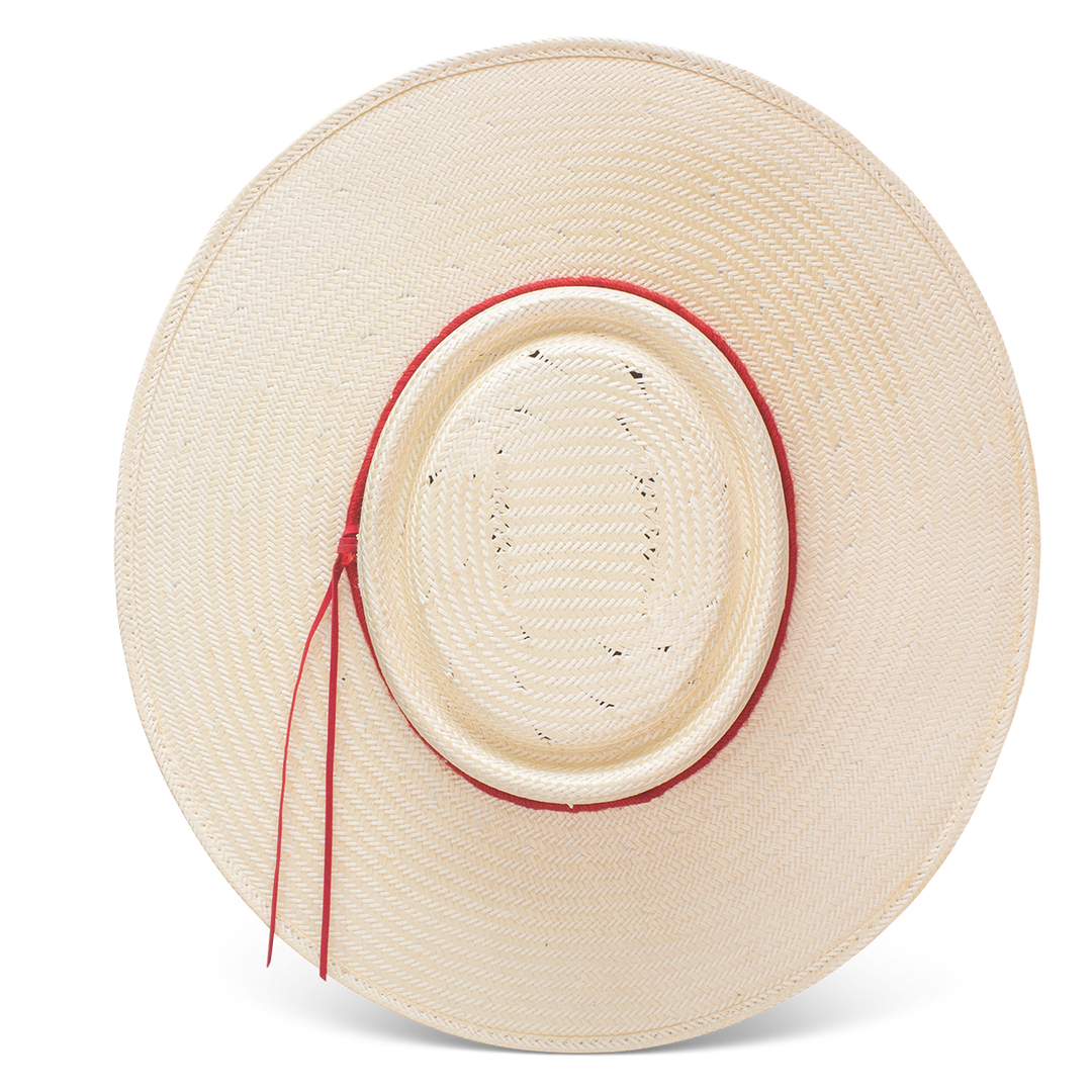 Painted Borders Fashion Hat - Charlie 1 Horse