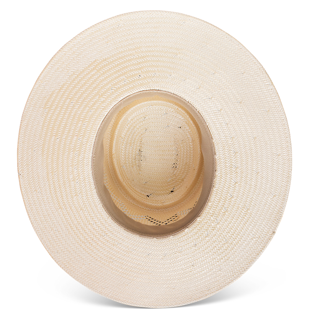 Painted Borders Fashion Hat - Charlie 1 Horse
