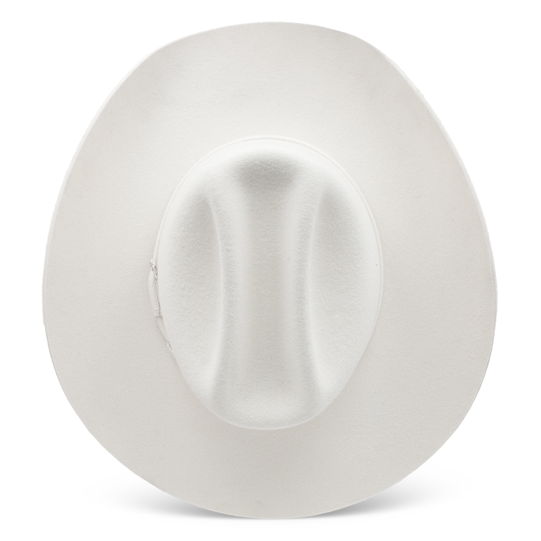 The Cowgirl Hat - Charlie 1 Horse