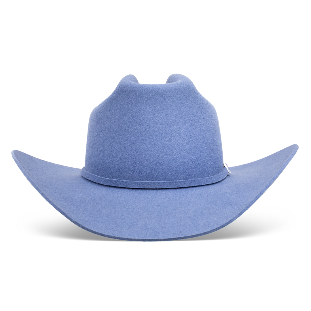 The Cowgirl Hat - Charlie 1 Horse