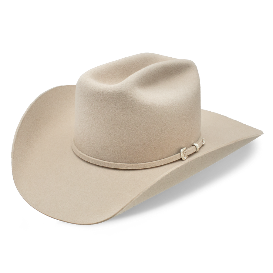 The Cowgirl Hat - Charlie 1 Horse