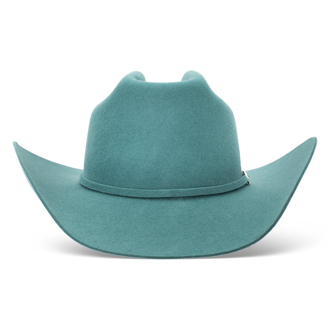 The Cowgirl Hat - Charlie 1 Horse