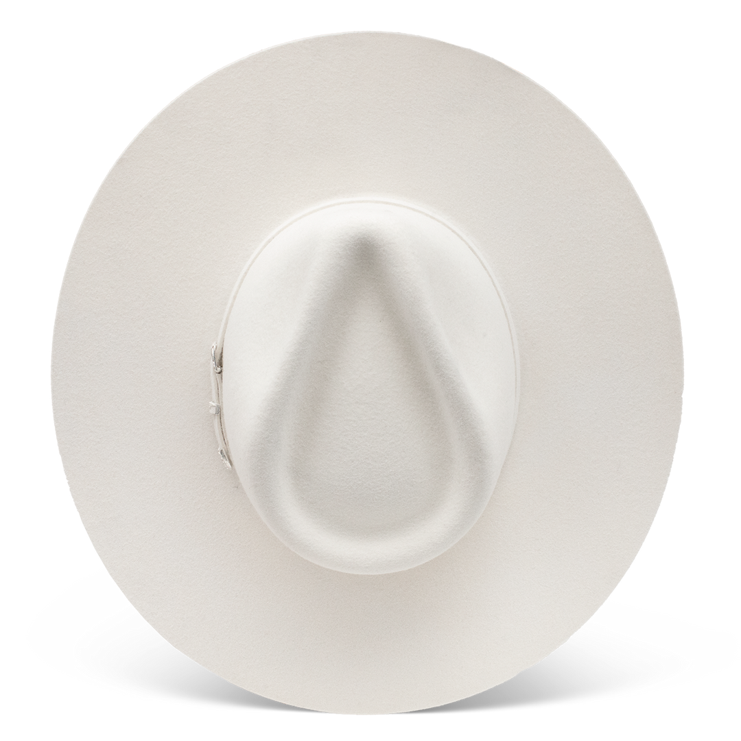 The Cowgirl Hat - Charlie 1 Horse