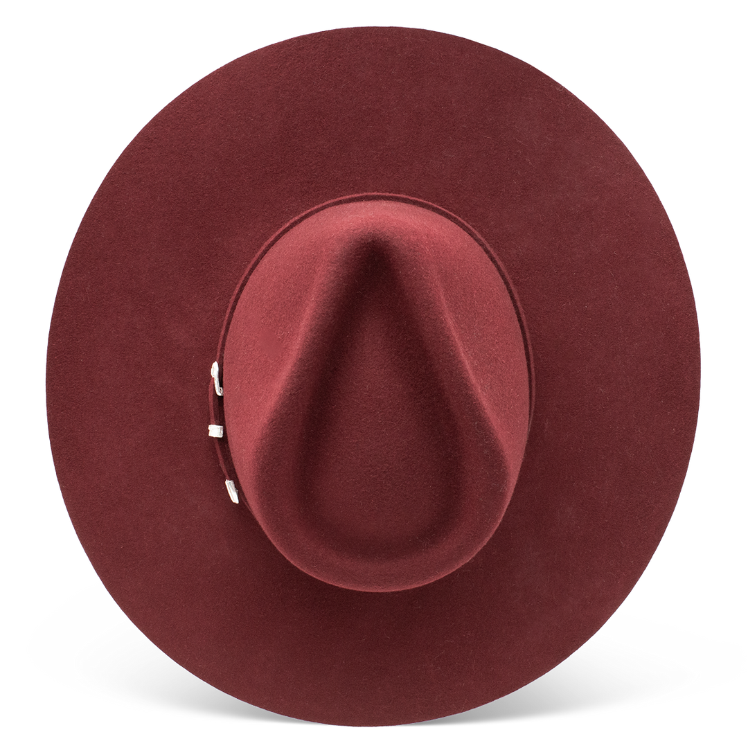 The Cowgirl Hat - Charlie 1 Horse