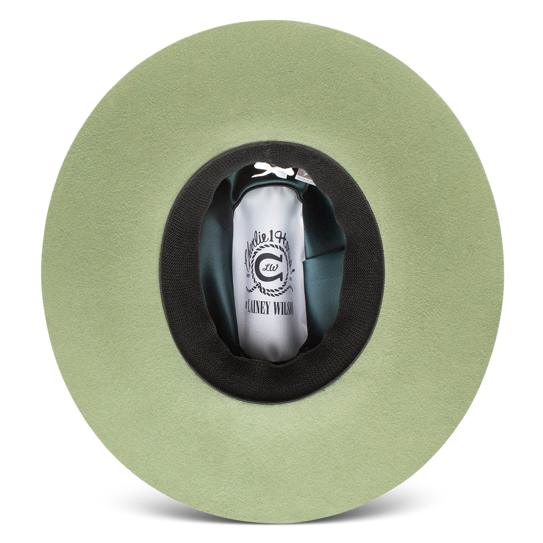 Little Lime Jr. - Youth Western Hat - Charlie 1 Horse