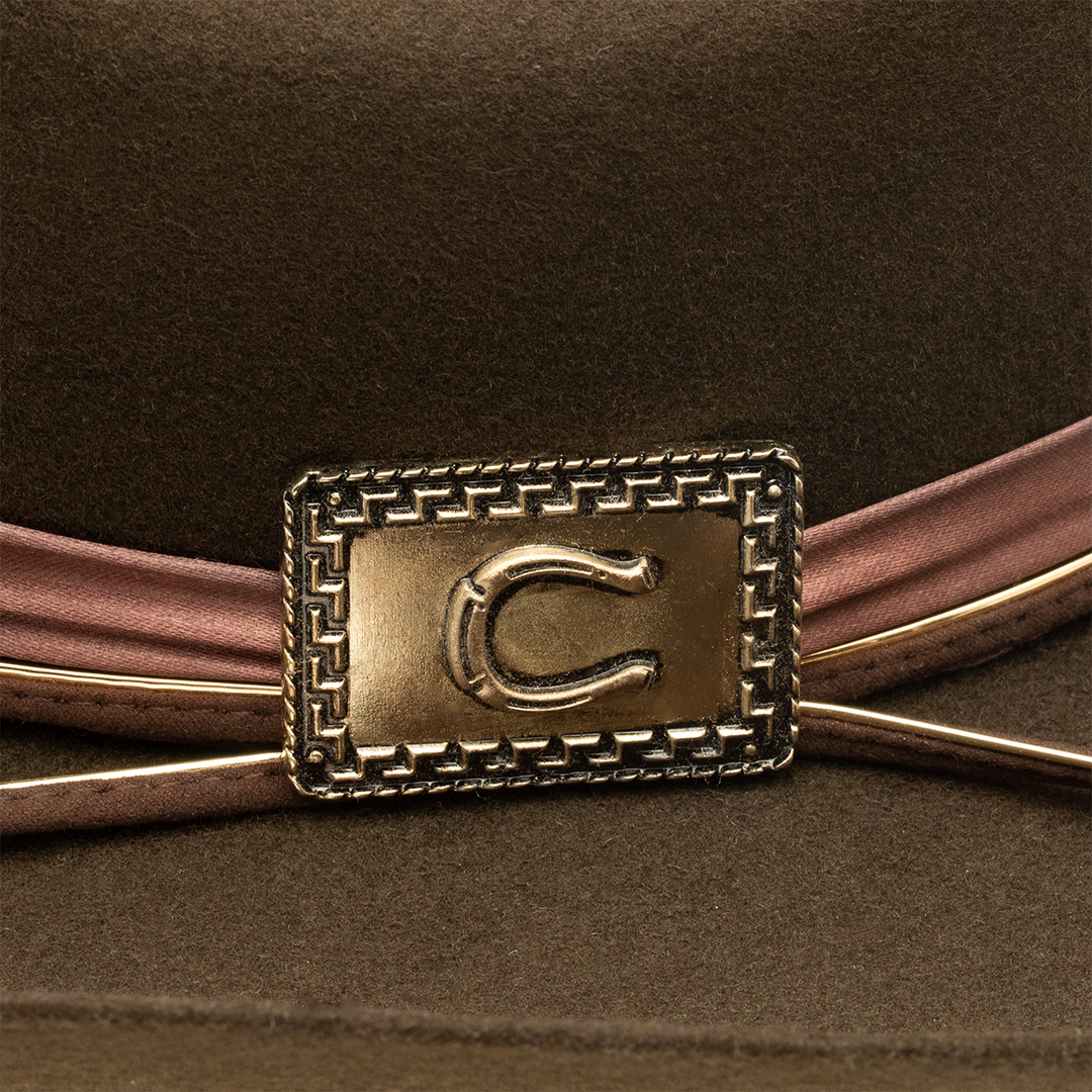 Songbird Jr - Youth Western Hat - Charlie 1 Horse