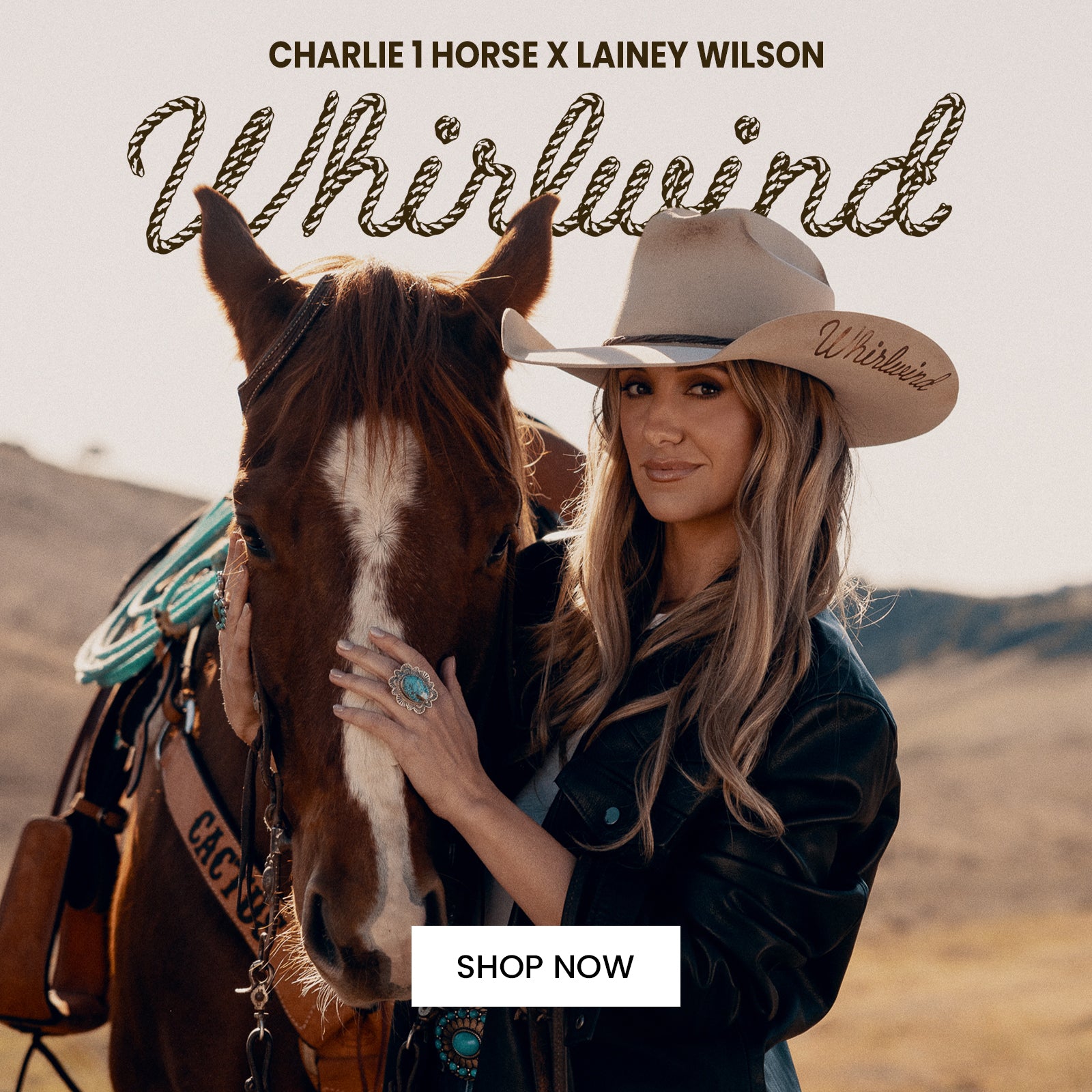 Charlie 1 Horse チャーリーワンホース カウボーイハット Charlie 1 Horse（チャーリーワンホース）ウェスタンストロー